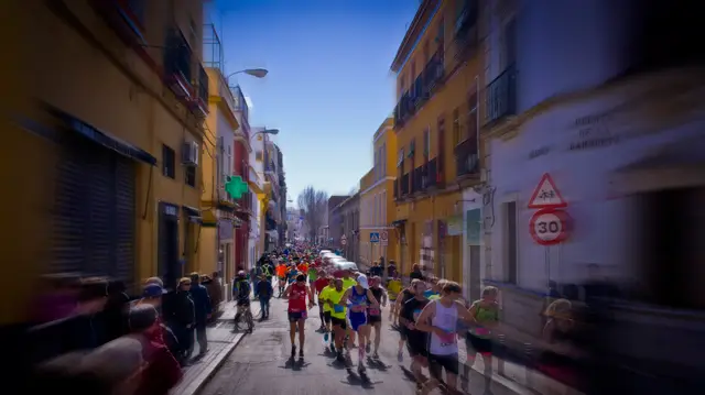 Maratón de Sevilla 2014