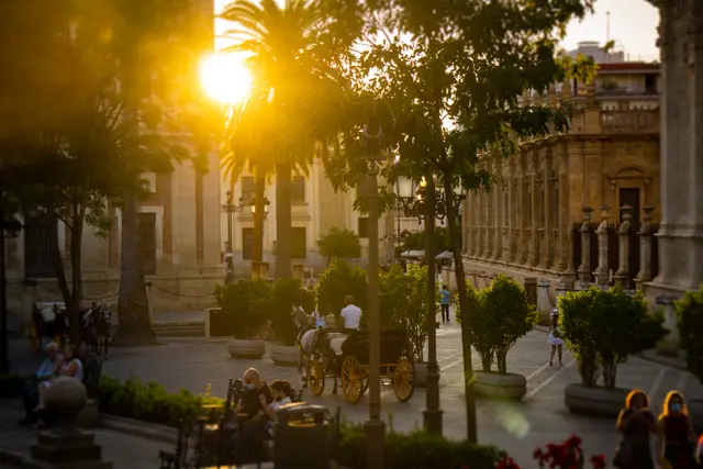 Plaza del Triunfo y Archivo de Indias